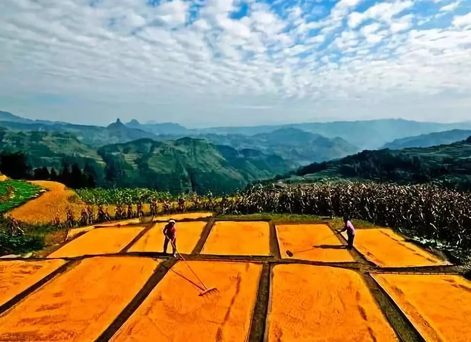農(nóng)村宅基地政策變化，一塊宅基地不同補(bǔ)償方式！